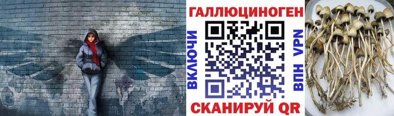 OMG маркетплейс Луховицы Псилоцибиновые грибы ЛСД